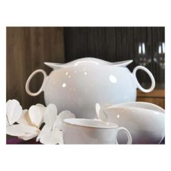 Quebec Souptureen
