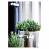 Profi Cuisine Stock Pot 28Cm