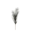 Pampas Deko Branch