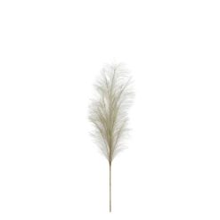 Pampas Deko Branch