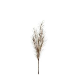 Pampas Deko Branch