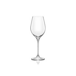 Vizio White Wine Set 6Pcs