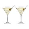 Tasting Hour Martini Set 2Pcs