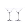 Tasting Hour Margarita Set 2Pcs