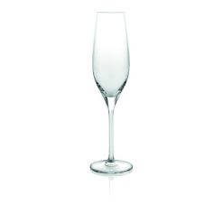 Vizio Champagne Set 6Pcs