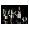 Vizio Red Wine Set 6Pcs