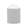 Afrodyta Salt Shaker