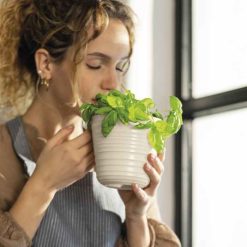 Tierra Planter Small