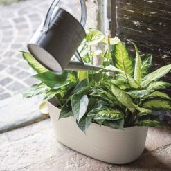 Tierra Planter Large