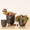 Le Jardin Planter 12Cm