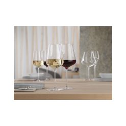 Definition Champagne Set 2Pcs