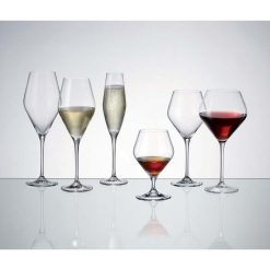 Loxia Champagne Set 6Pcs