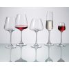Corvus Champagne Set 6Pcs