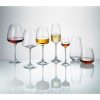 Anser Champagne Set 6Pcs