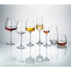 Anser Champagne Set 6Pcs