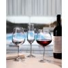 Strix Champagne Set 6Pcs