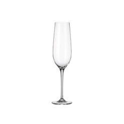 Uria Champagne Set 6Pcs