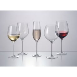 Uria Champagne Set 6Pcs