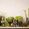 Le Jardin Candleholder 25Cm