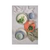 Nature Dinner Plate
