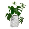 Acqua Vase 29.6Cm