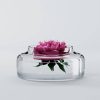 Tube Vase-Bowl 20X9Cm
