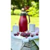 Skyline Insulated Jug 1L