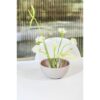 Rosenthal Glass Bowl 21Cm