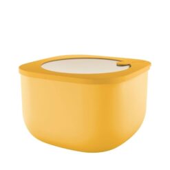 Container 2800Cc
