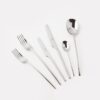 100 Cutlery Set 36Pcs