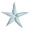 Coquillages Starfish Platter 36.5Cm