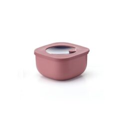 Container 450Cc