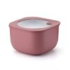 Container 2800Cc