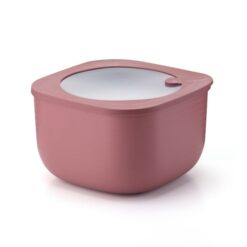 Container 2800Cc